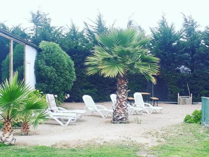 Hotel Del Valle Quilimari Pichidangui Exterior photo